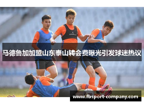 马德鲁加加盟山东泰山转会费曝光引发球迷热议