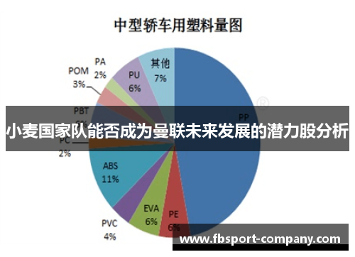 小麦国家队能否成为曼联未来发展的潜力股分析