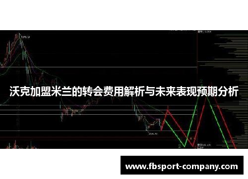 沃克加盟米兰的转会费用解析与未来表现预期分析