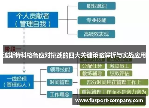 波斯特科格鲁应对挑战的四大关键策略解析与实战应用