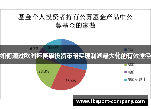 如何通过欧洲杯赛事投资策略实现利润最大化的有效途径