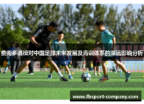 费南多退役对中国足球未来发展及青训体系的深远影响分析